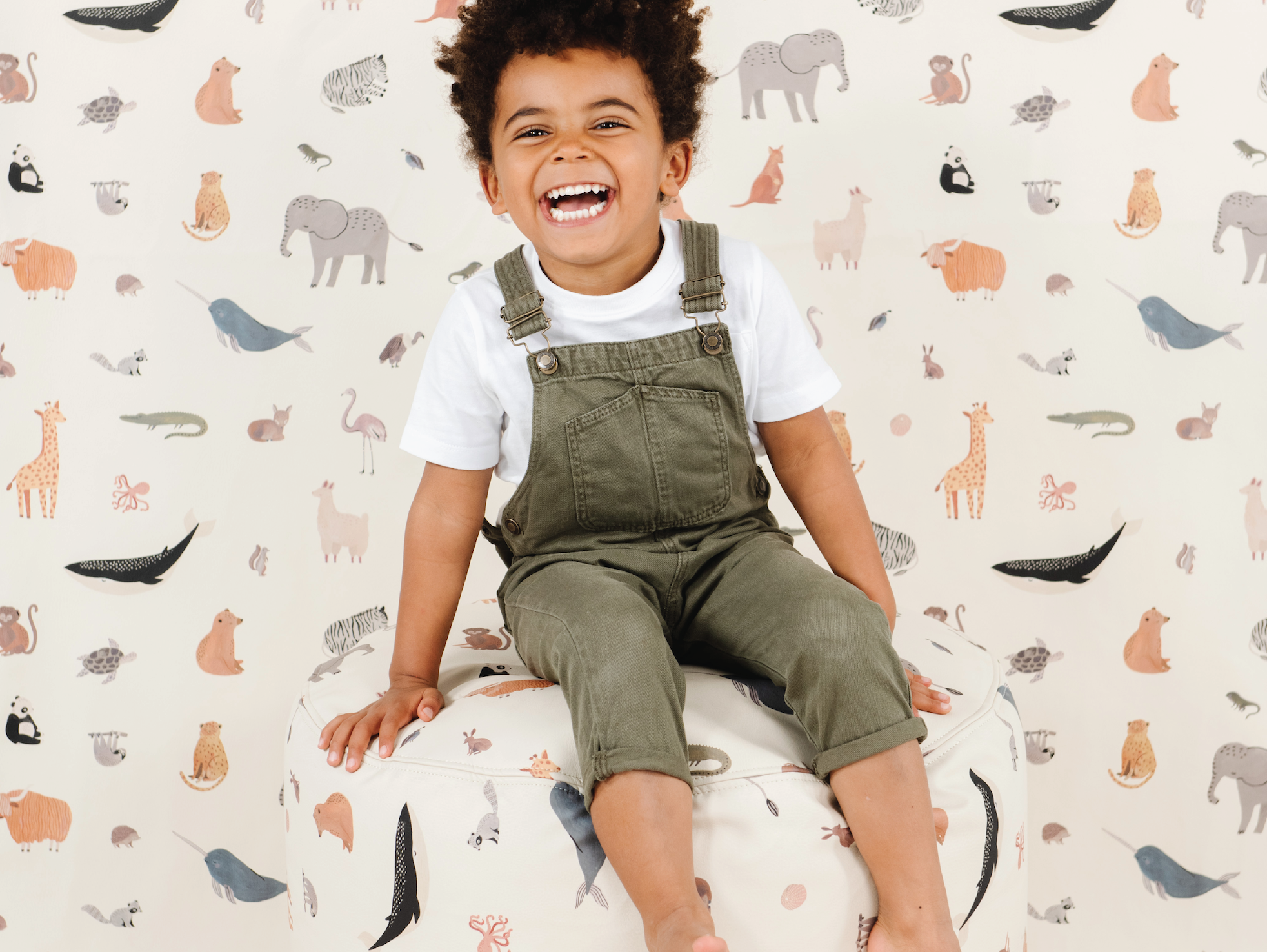 All About Animal Alphabet + Menagerie
