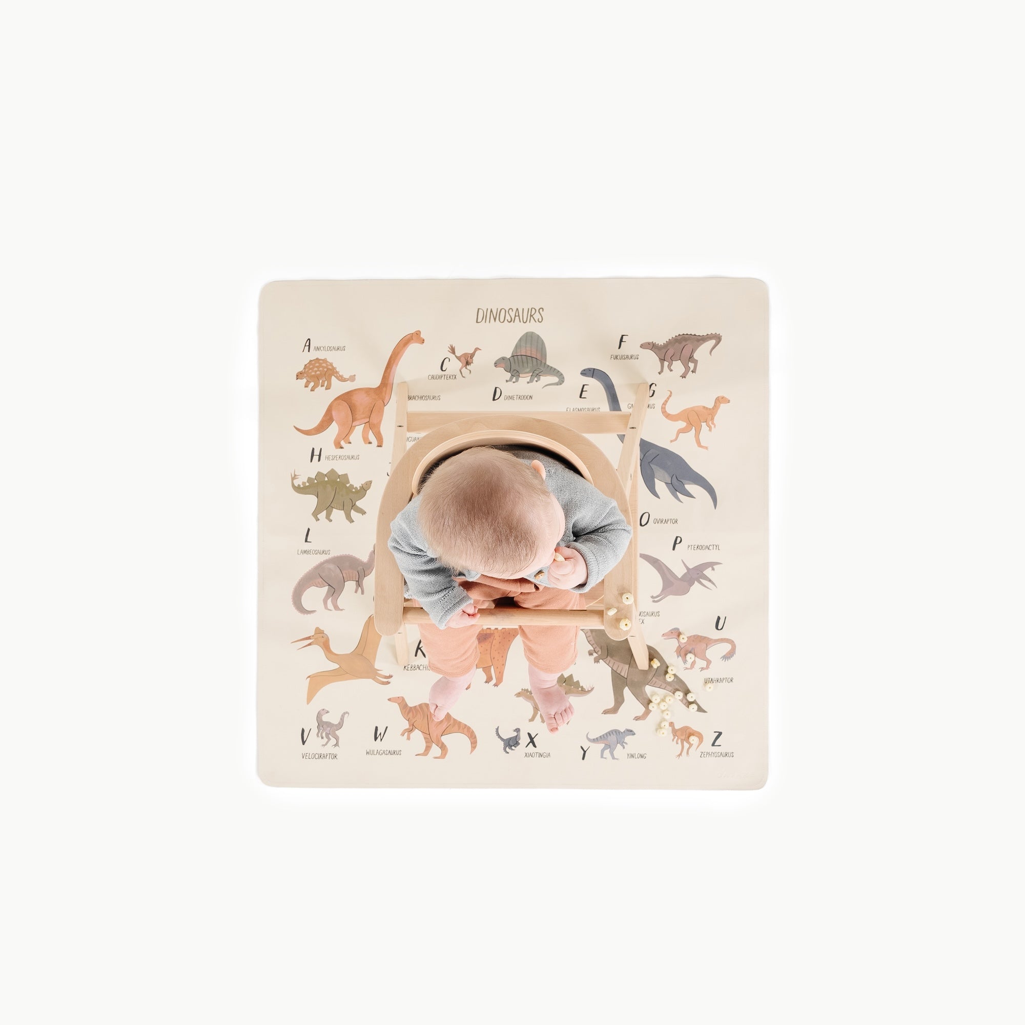 Dinosaur Alphabet @overhead of baby in highchair on mini