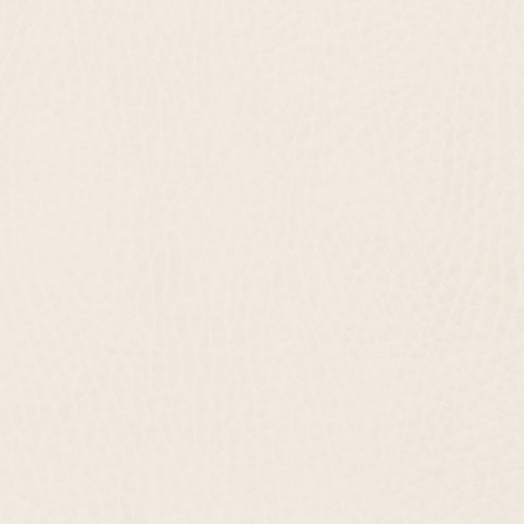Ivory@Ivory Swatch