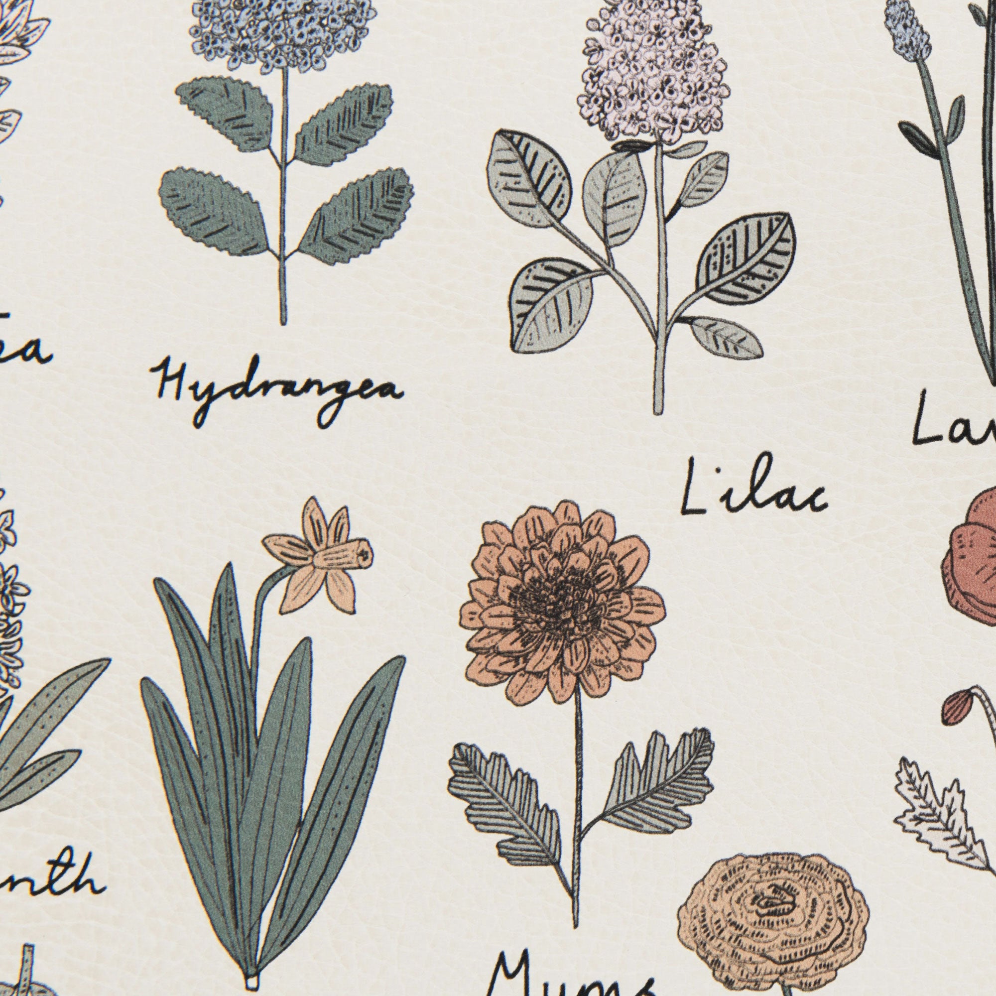 Fleurs@Fleurs Swatch