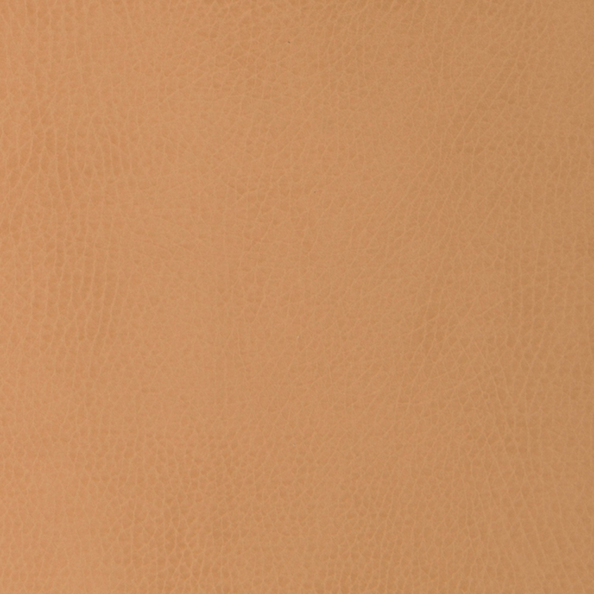 Saddle