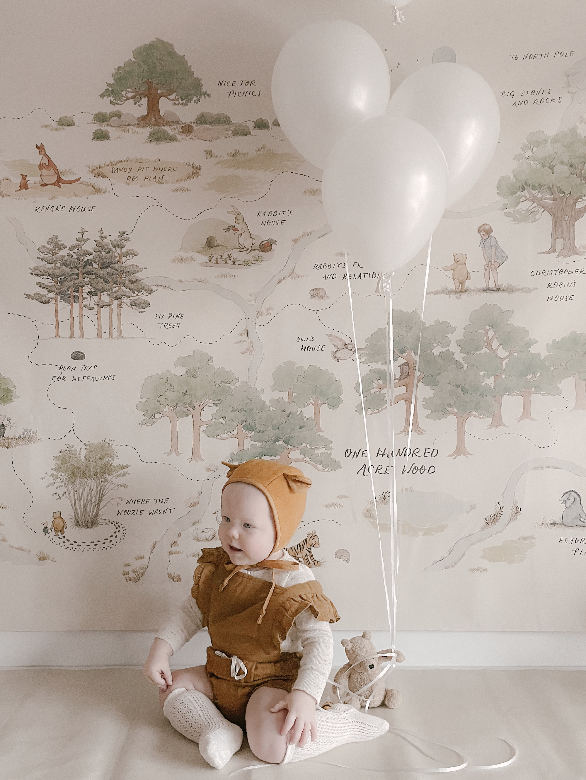 Disney’s Winnie the Pooh Party Ideas