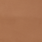 Cedar@cedar swatch