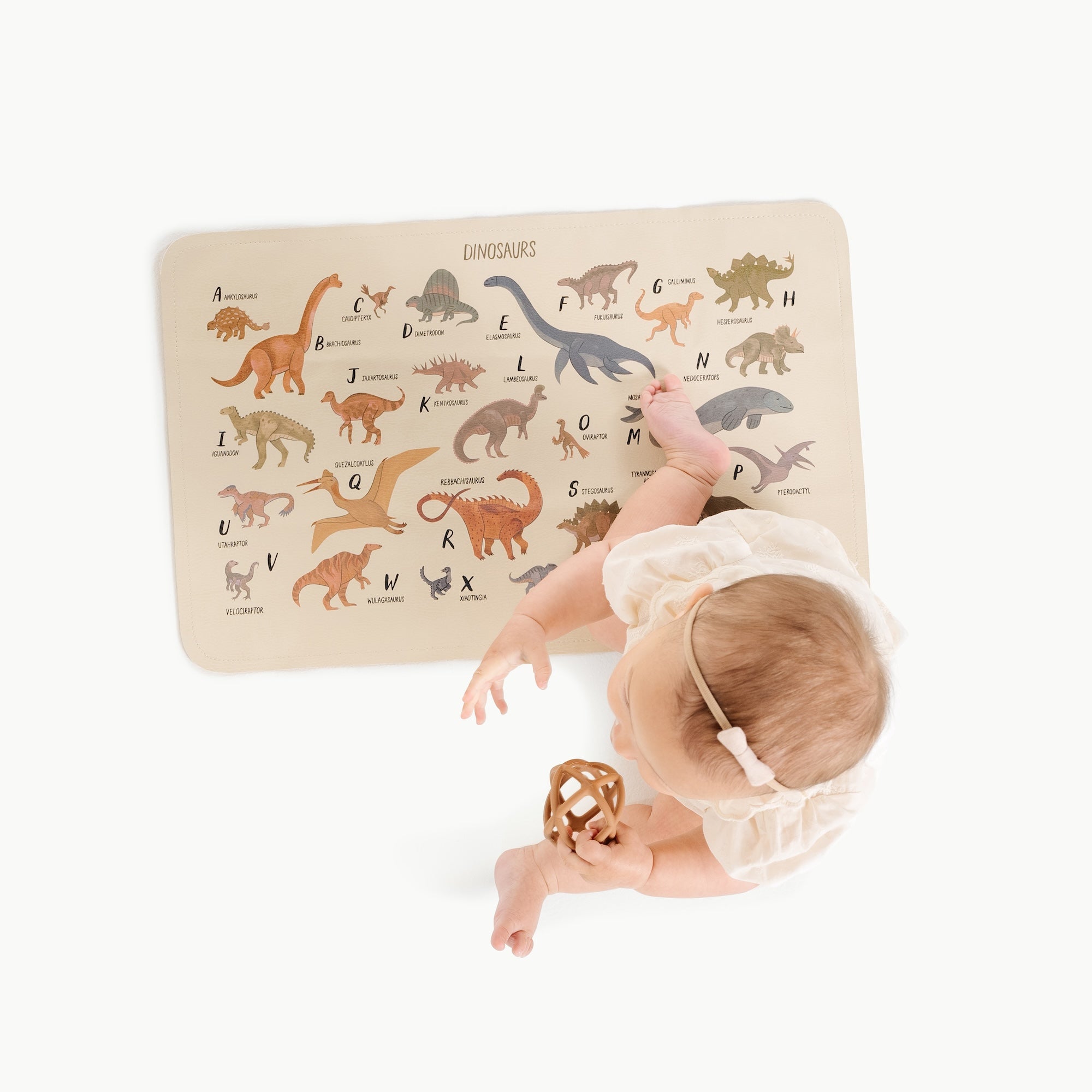 Dinosaur Alphabet (on sale)@Overhead of baby sitting on micro