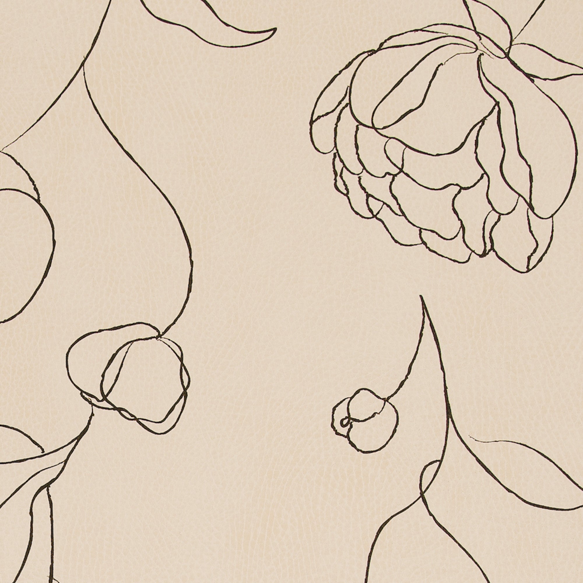 Peony@Peony Swatch  