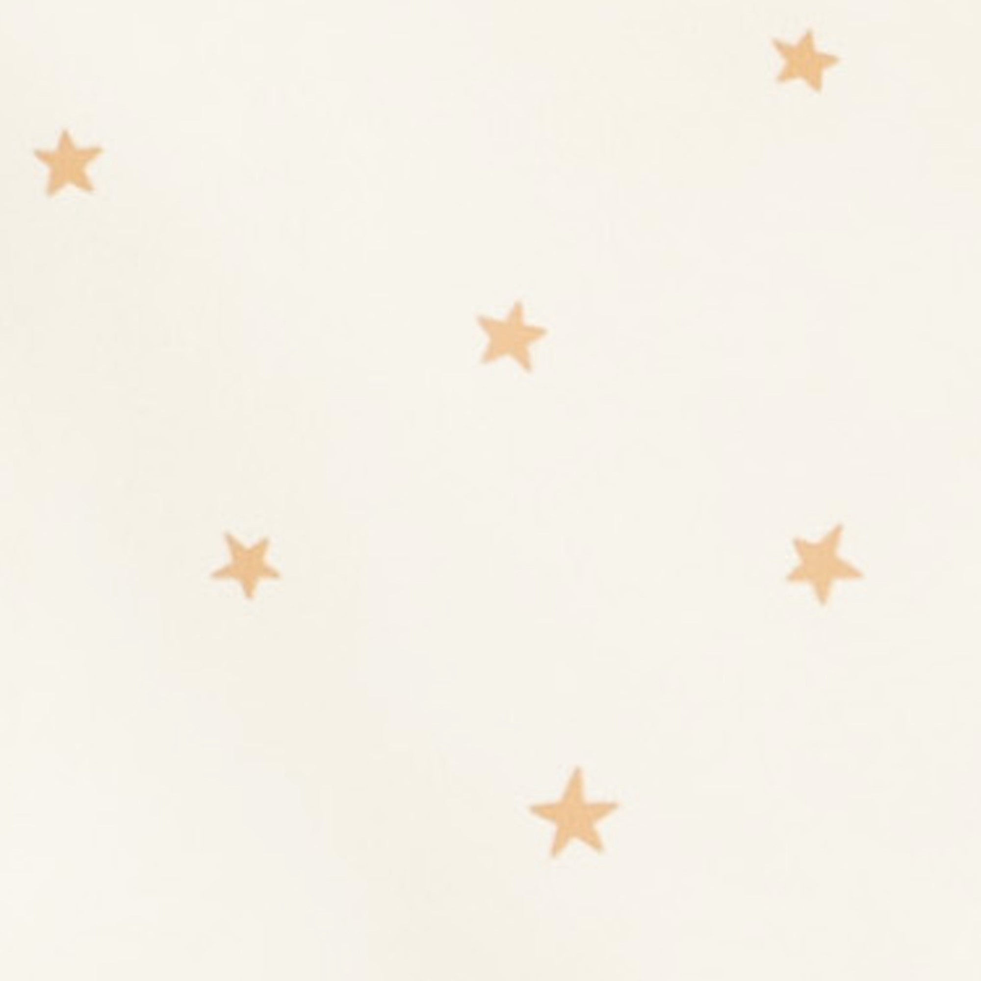 Stars@Stars Swatch 