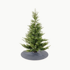 Baltic (on sale)@Baltic Tree Skirt under tree