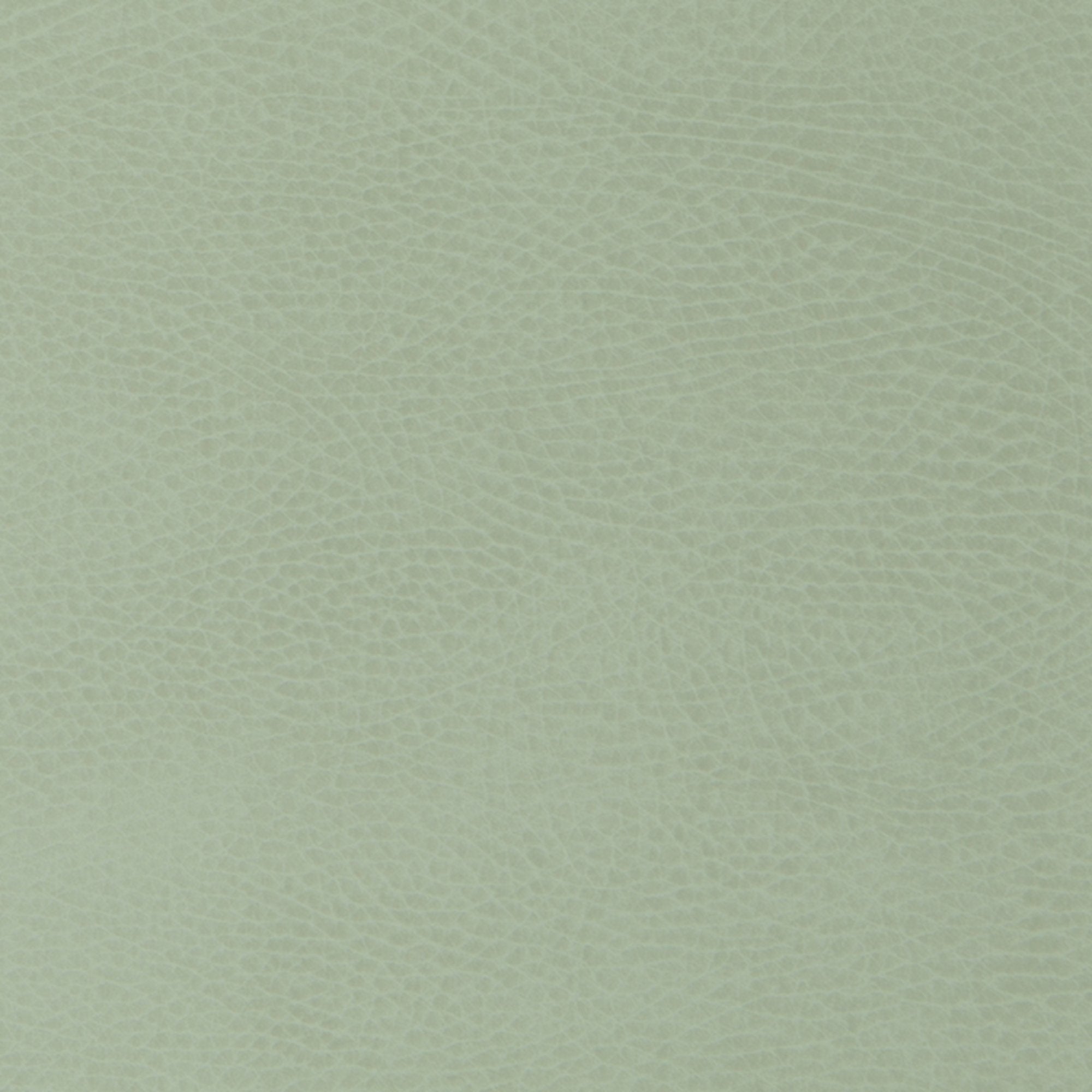Vetiver